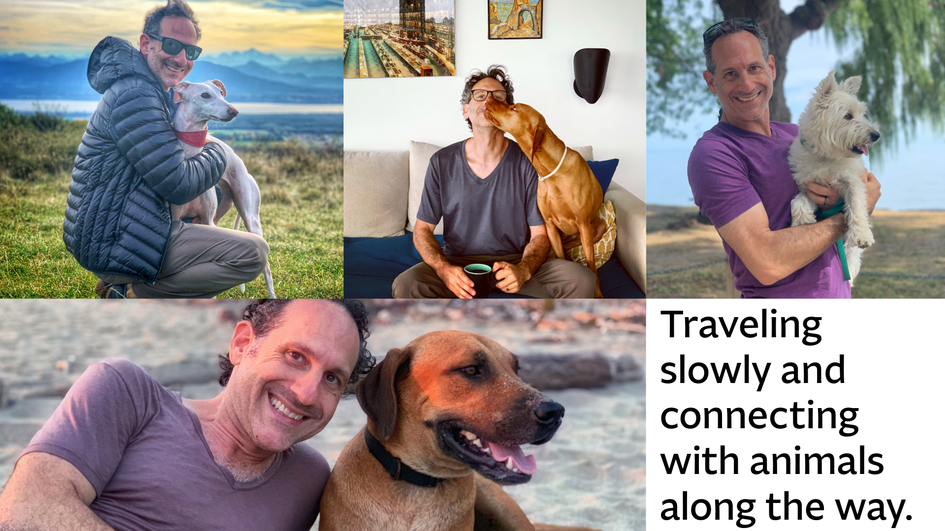 Steven Shewach with dogs cared for across Europe and the Americas