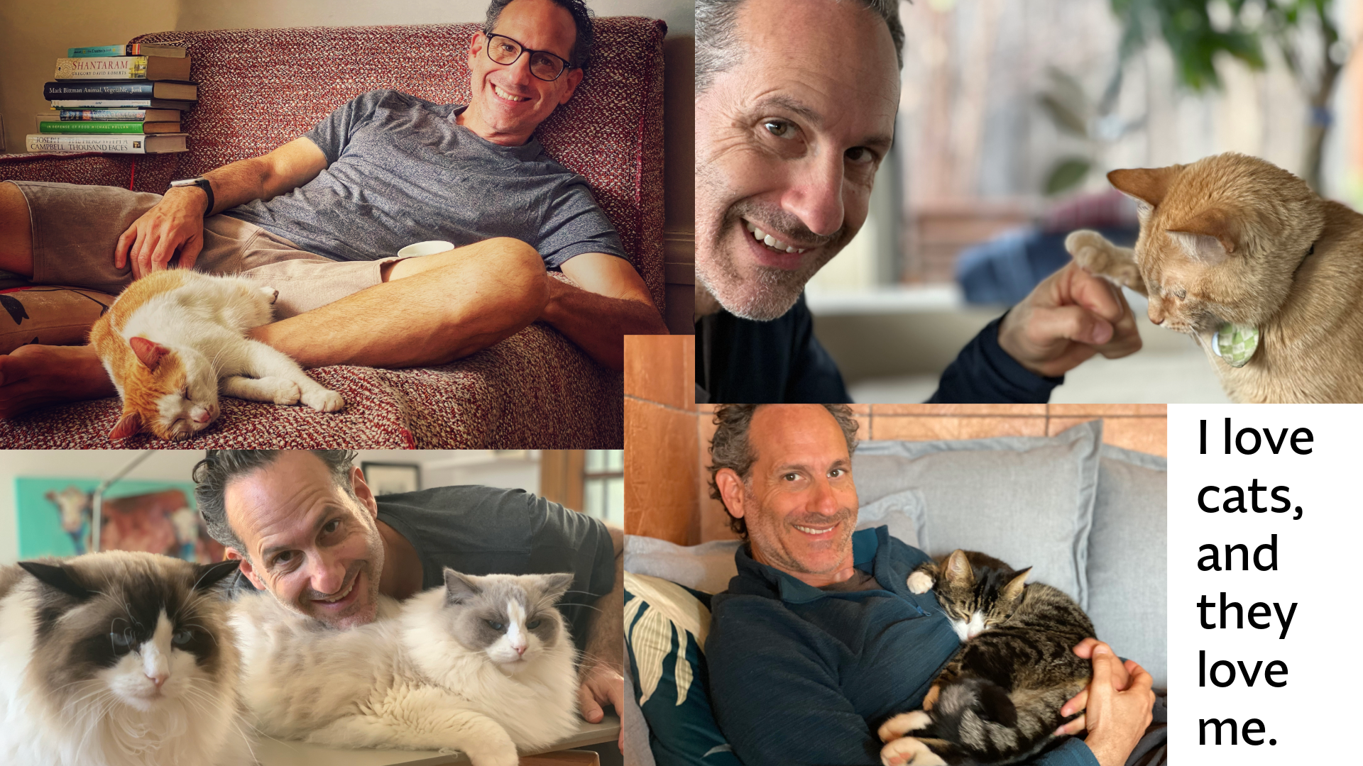 Steven with cats—from Carcavelos to Buenos Aires