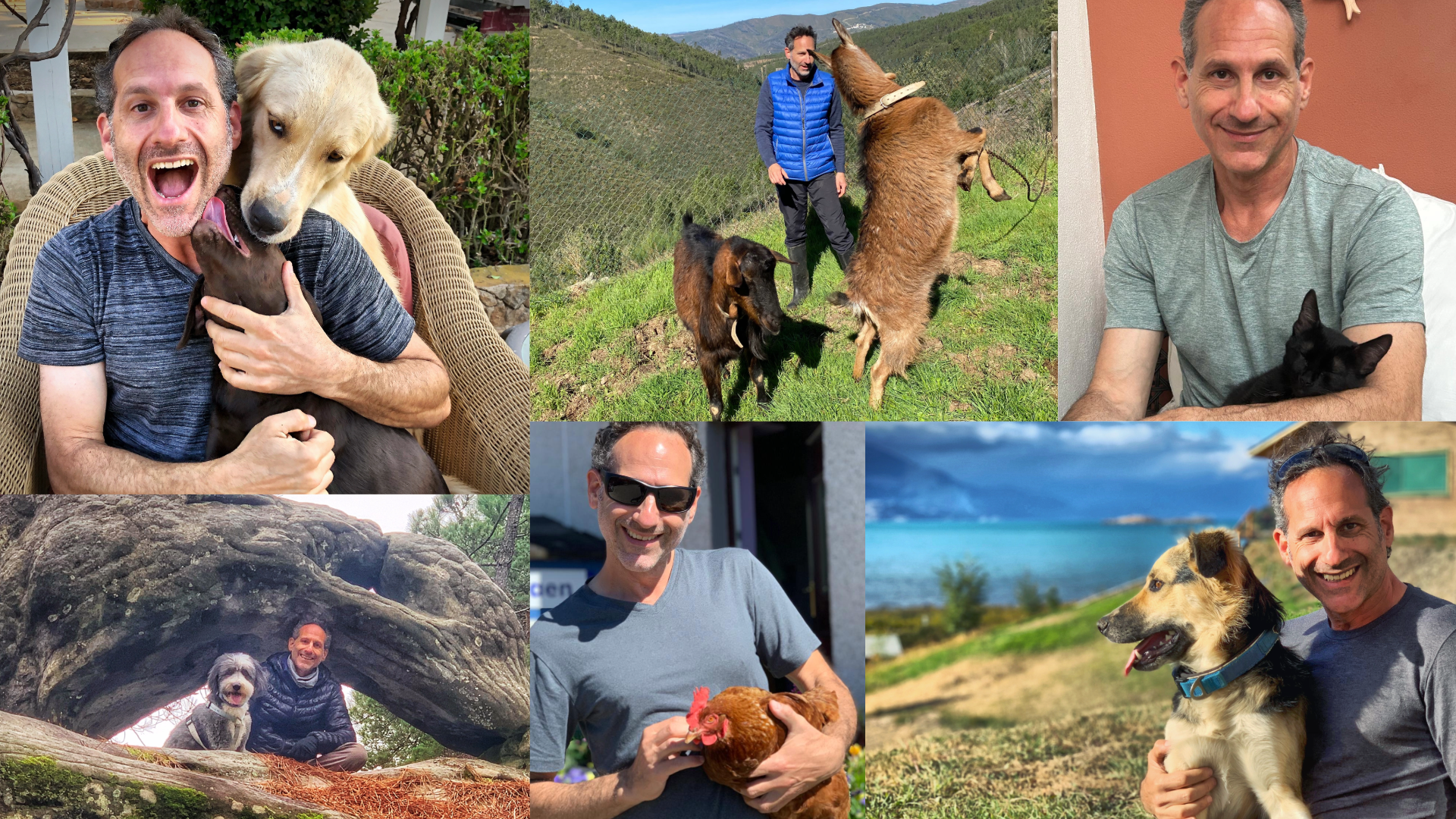 Not just cats and dogs—Steven with goats, chickens, and more